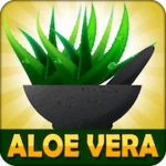 aloe vera benefits android application logo